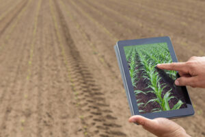 O agro é tech: a Revolução tecnológica que vive o campo brasileiro